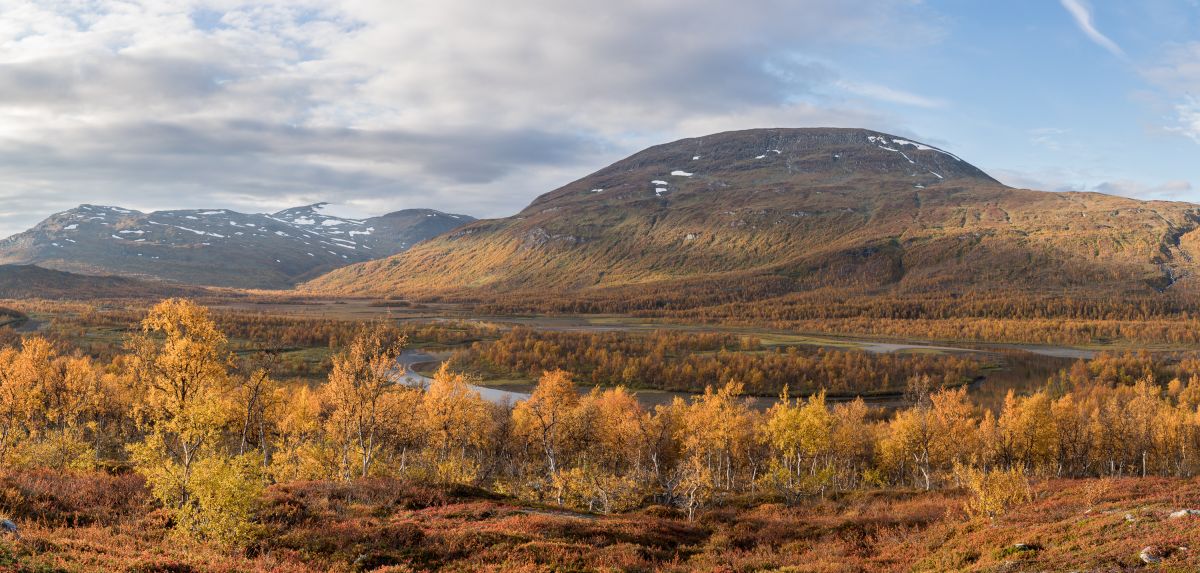 Vadvetjåkka National Park